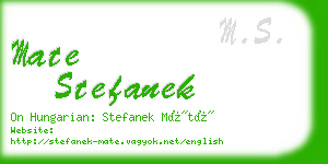 mate stefanek business card